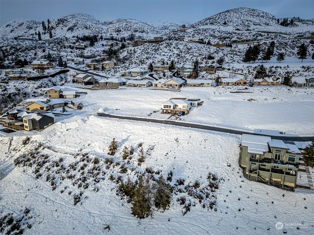 a view of a dry space with lots of trees
