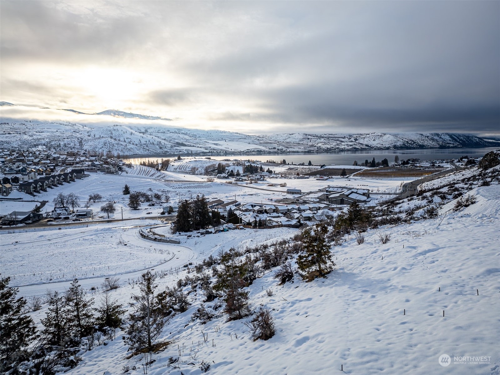 124 Hillcrest Place Chelan, WA 98816 - Photo 21 of 22 a view of a dry space with lots of trees