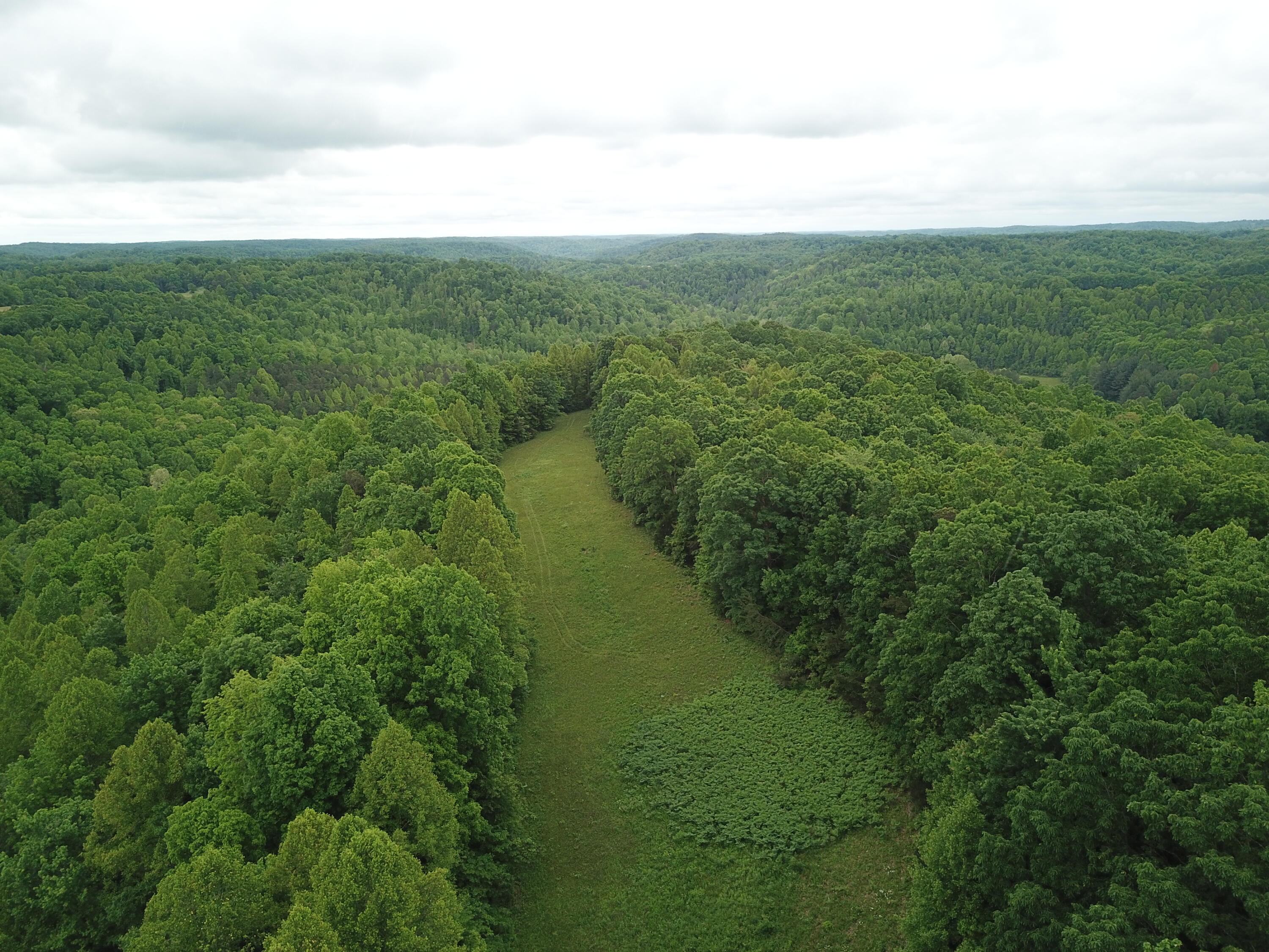 0 Van Hollow Road McKee, KY 40447 - Photo 3 of 11 DJI_0019