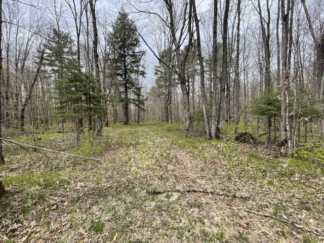 0 Dam Road Winter, WI 54896 - Photo 11 of 19