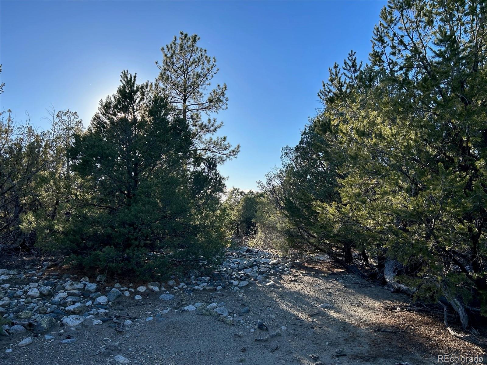 Conejos Place Mosca, CO 81146 - Photo 11 of 23 a big yard with lots of green space