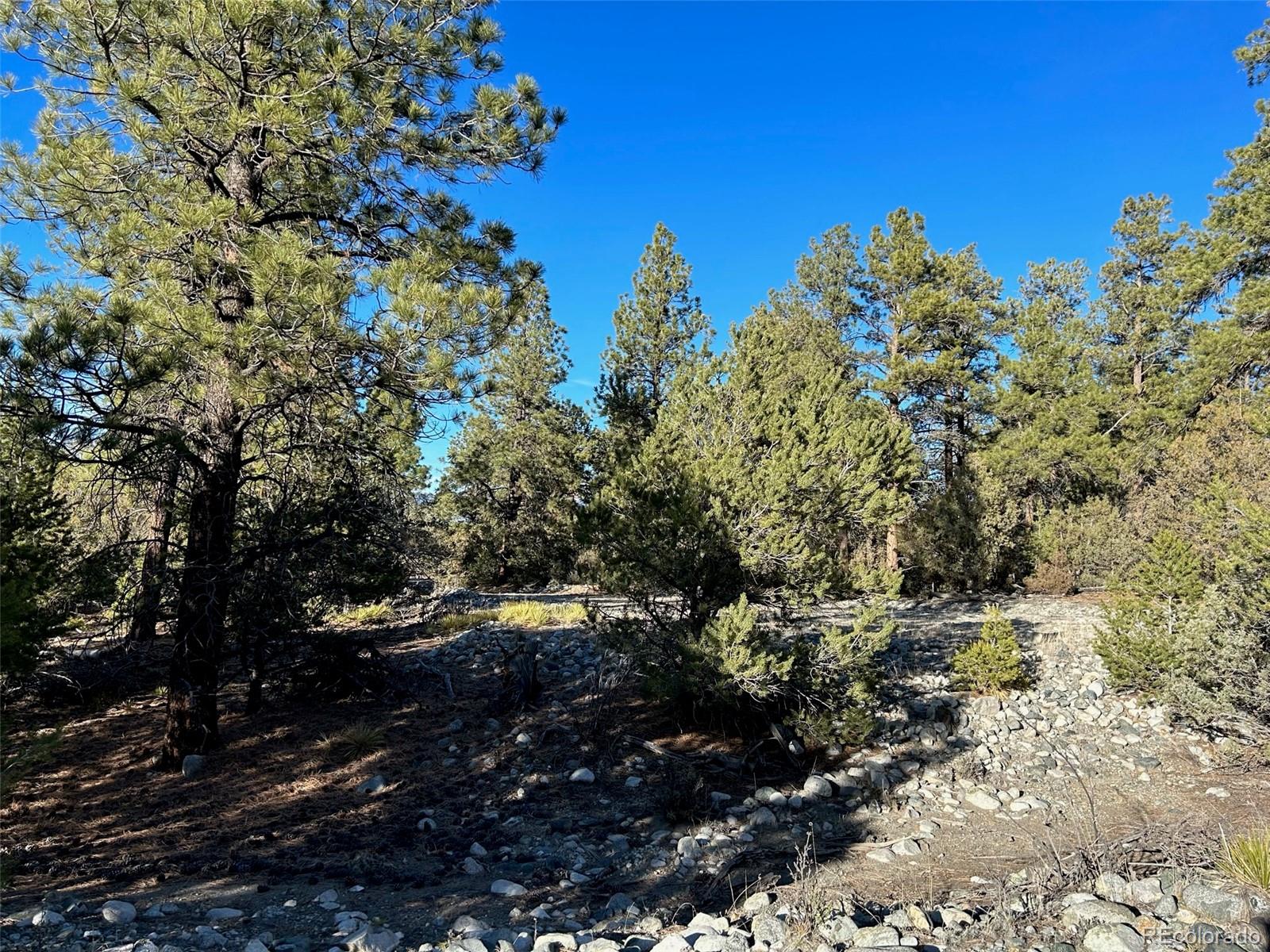 Conejos Place Mosca, CO 81146 - Photo 14 of 23 a view of outdoor space and tree