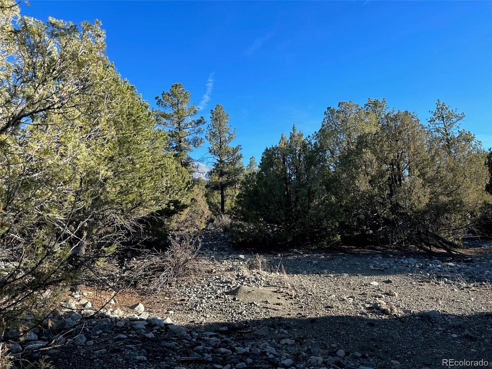 Conejos Place Mosca, CO 81146 - Photo 20 of 23 a view of a yard with a tree