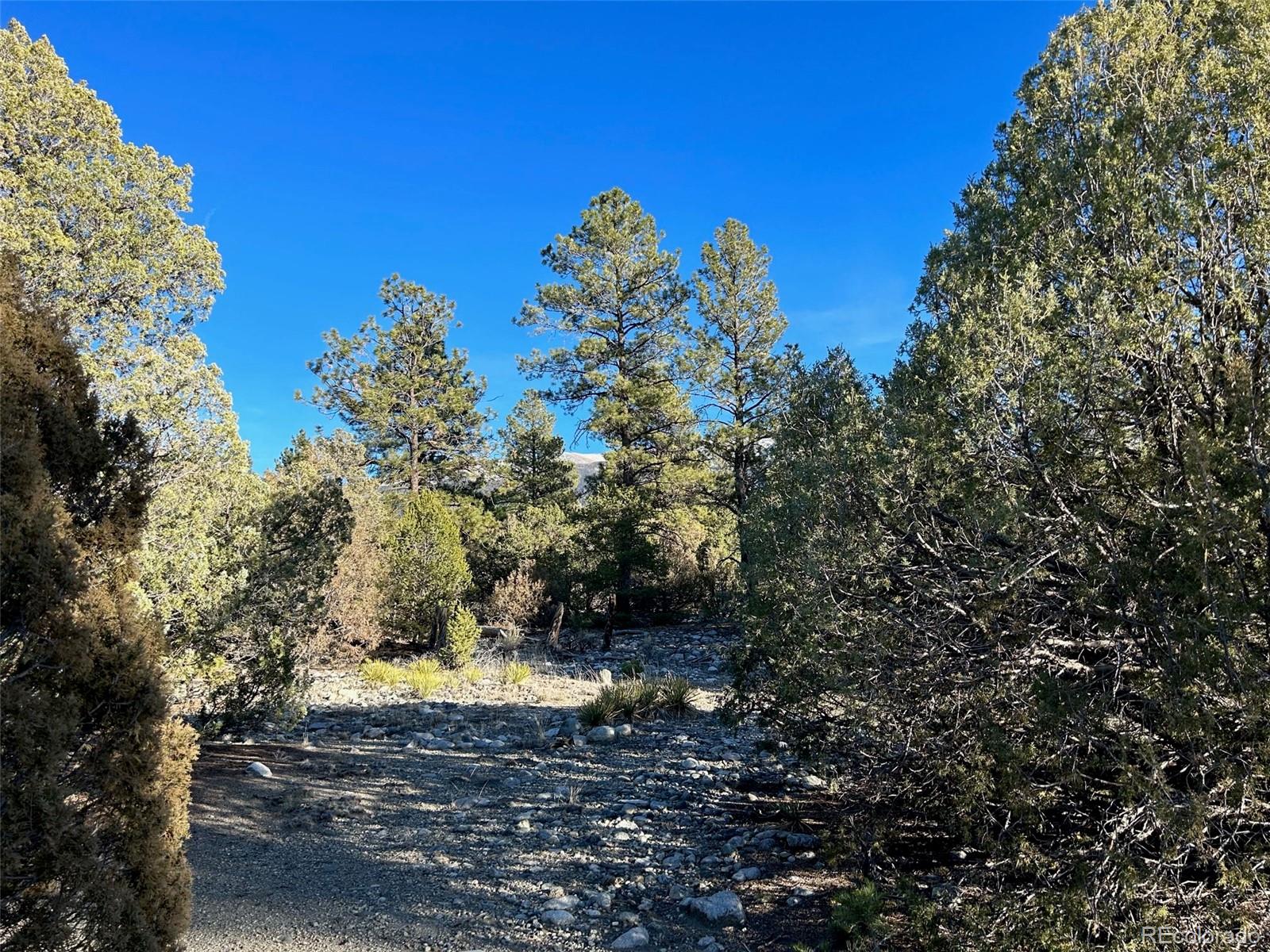 Conejos Place Mosca, CO 81146 - Photo 22 of 23 a view of a tiny house with a yard