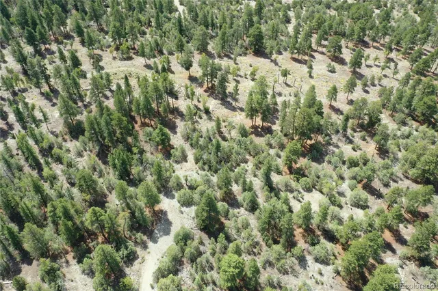a view of a yard of a building