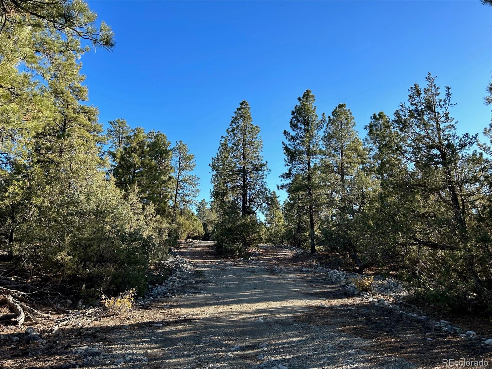Conejos Place Mosca, CO 81146 - Photo 6 of 23 a view of a yard