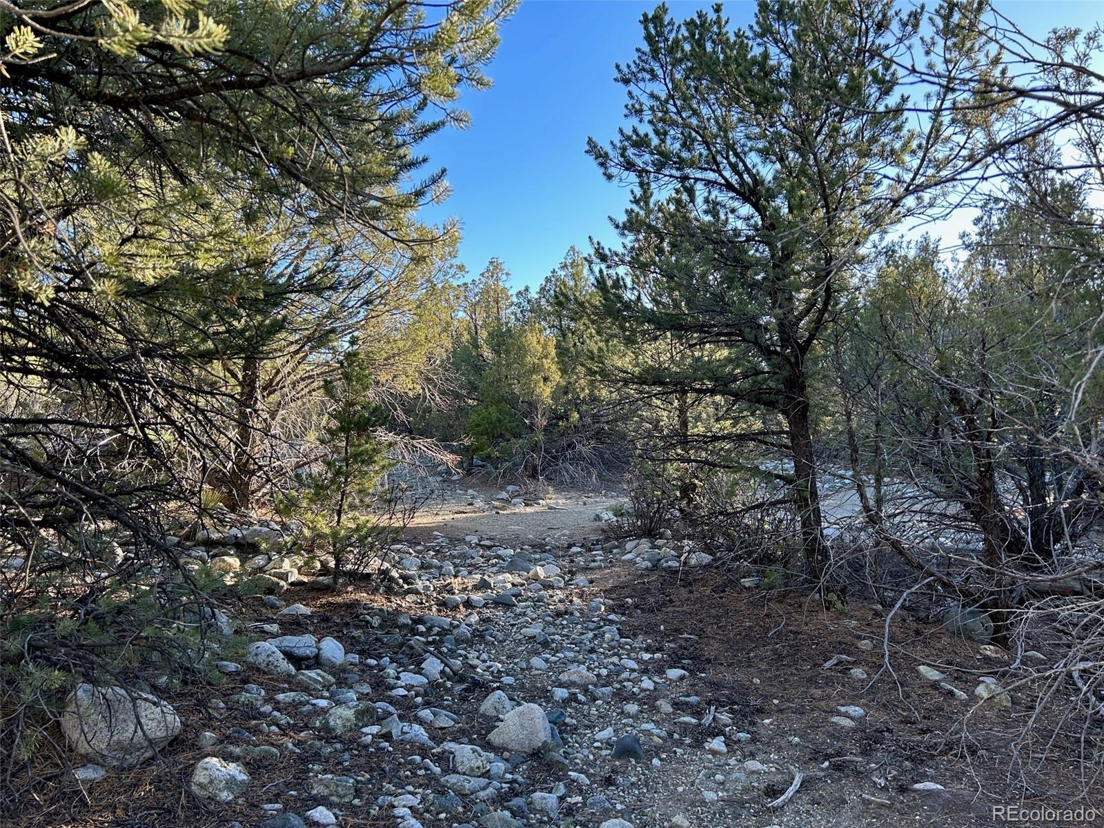 Conejos Place Mosca, CO 81146 - Photo 8 of 23 a view of a yard with plants and trees