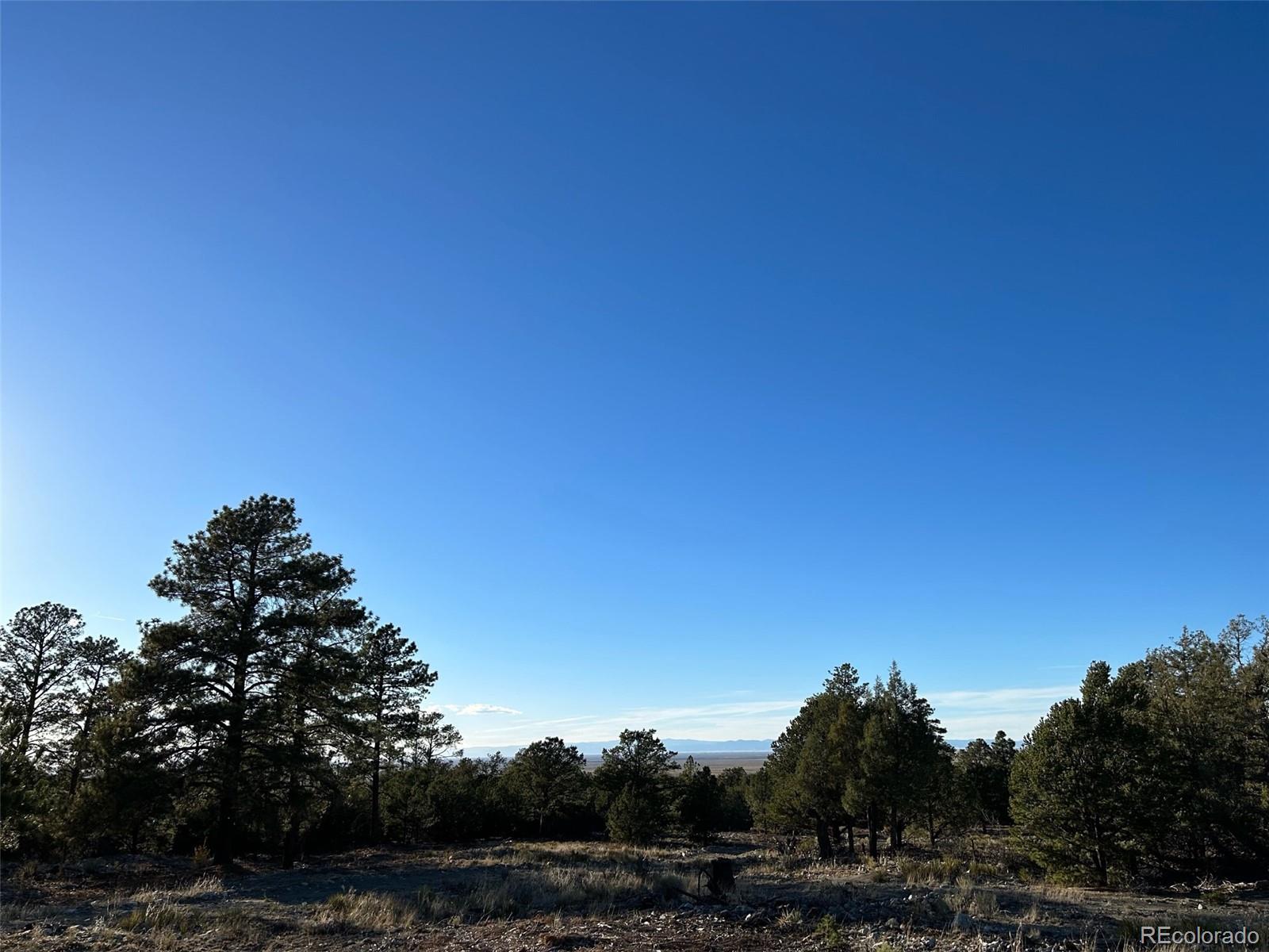Conejos Place Mosca, CO 81146 - Photo 9 of 23 a view of backyard with green space