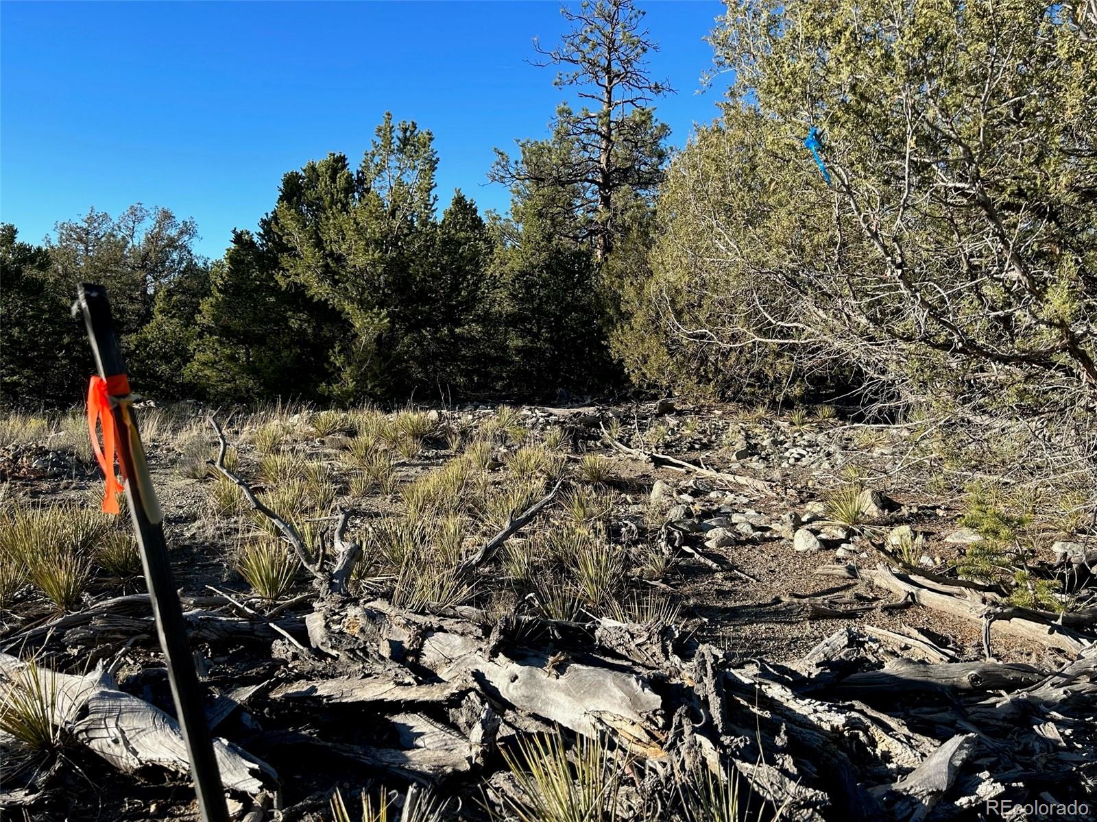Conejos Place Mosca, CO 81146 - Photo 10 of 23 a view of a backyard of the house