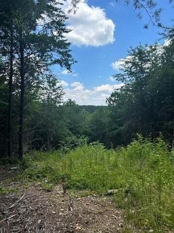 5 Owl Hollow Road Southwest McDonald, TN 37353 - Photo 18 of 32