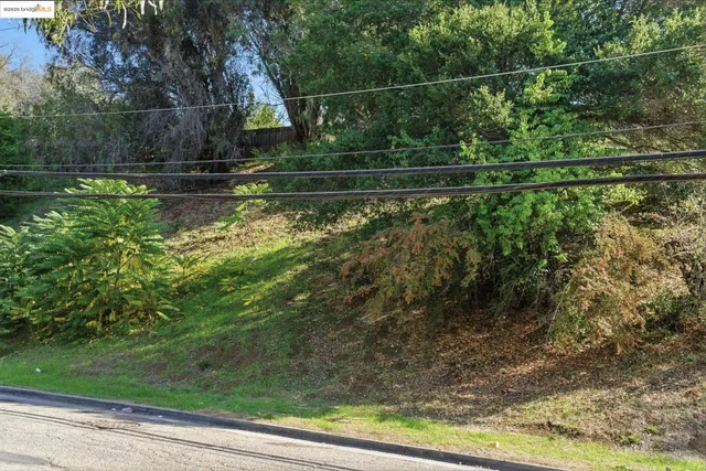 a view of a yard with wooden fence
