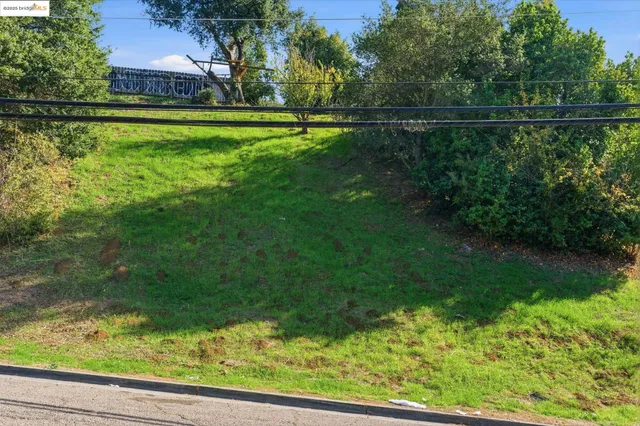 a view of a lake from a yard