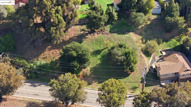 a view of a garden with flowers