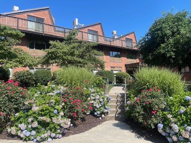 a view of a house with a yard and garden