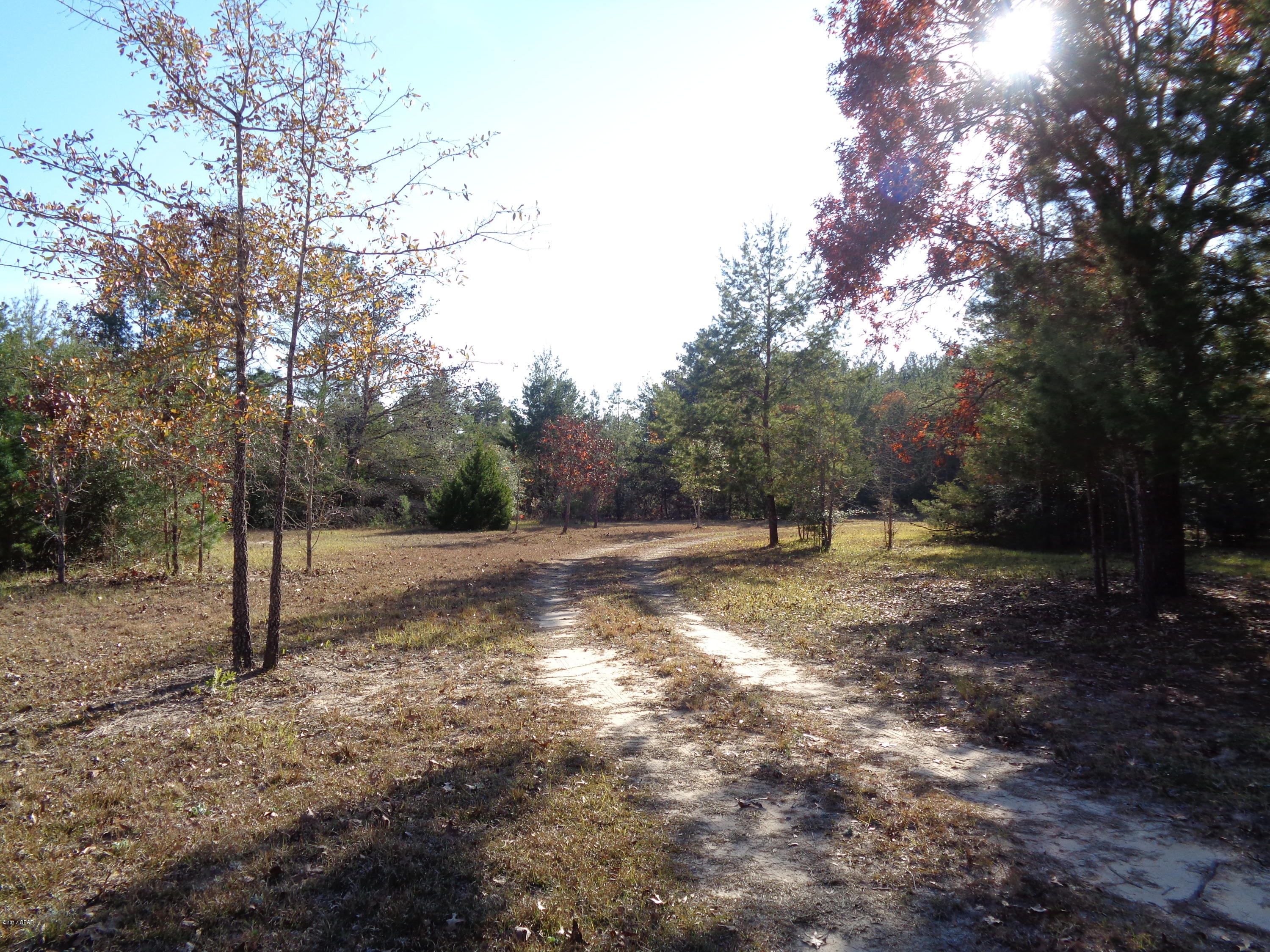 3109 Bonnett Pond Road Chipley, FL 32428 - Photo 24 of 26