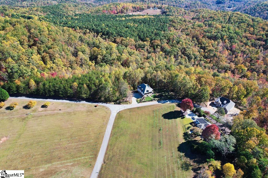 101 Cabernet Way Travelers Rest, SC 29690 - Photo 41 of 43