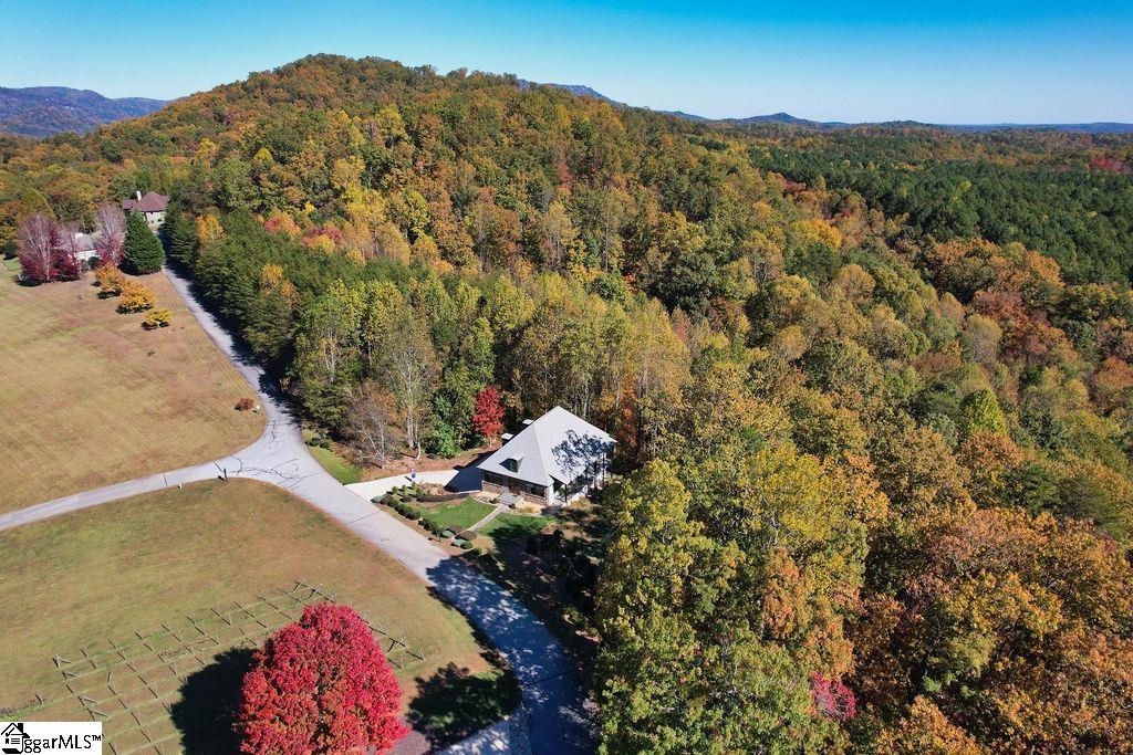 101 Cabernet Way Travelers Rest, SC 29690 - Photo 42 of 43