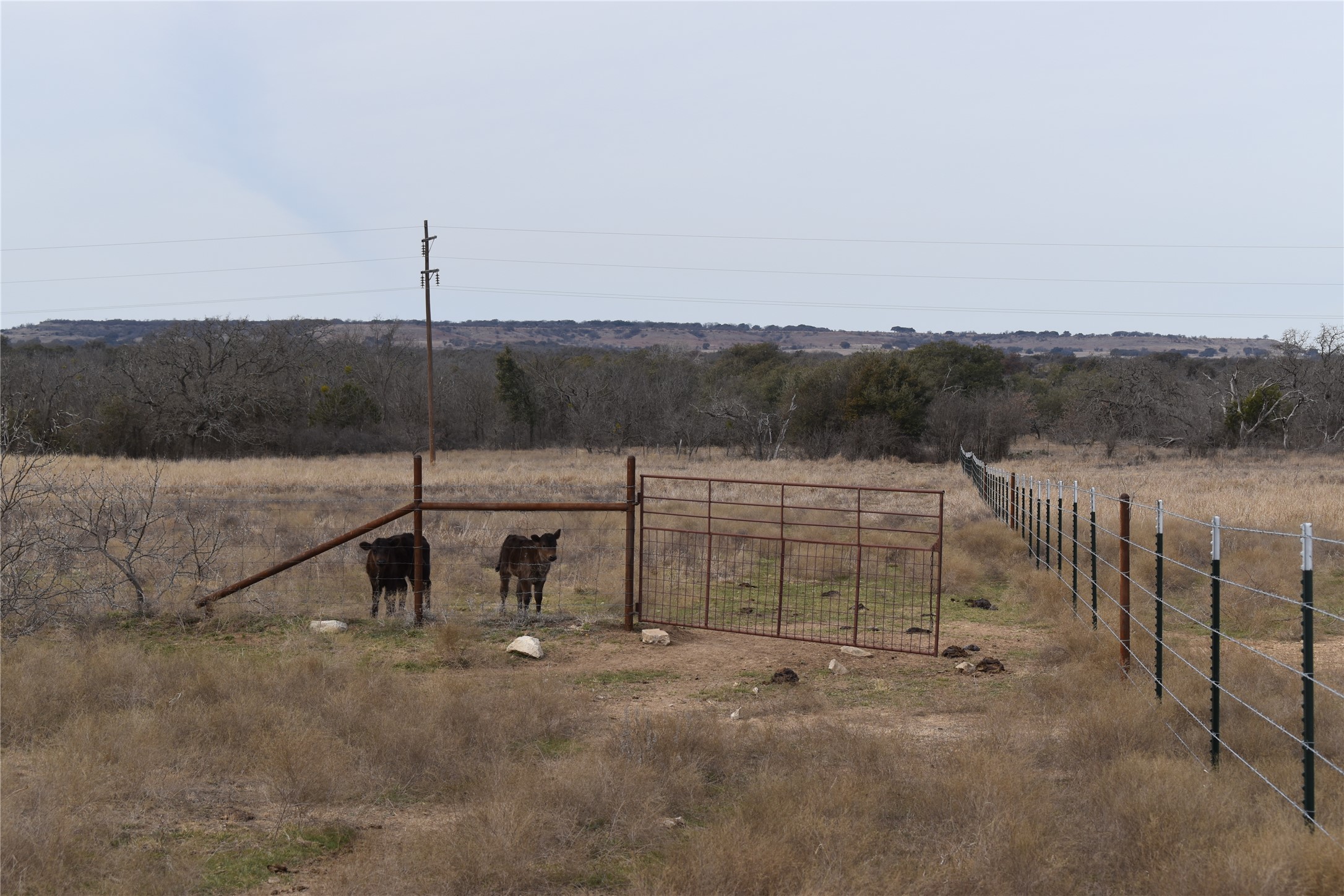 3619 North Fm 1702 Hamilton, TX 76531 - Photo 15 of 18 a view of a outdoor space