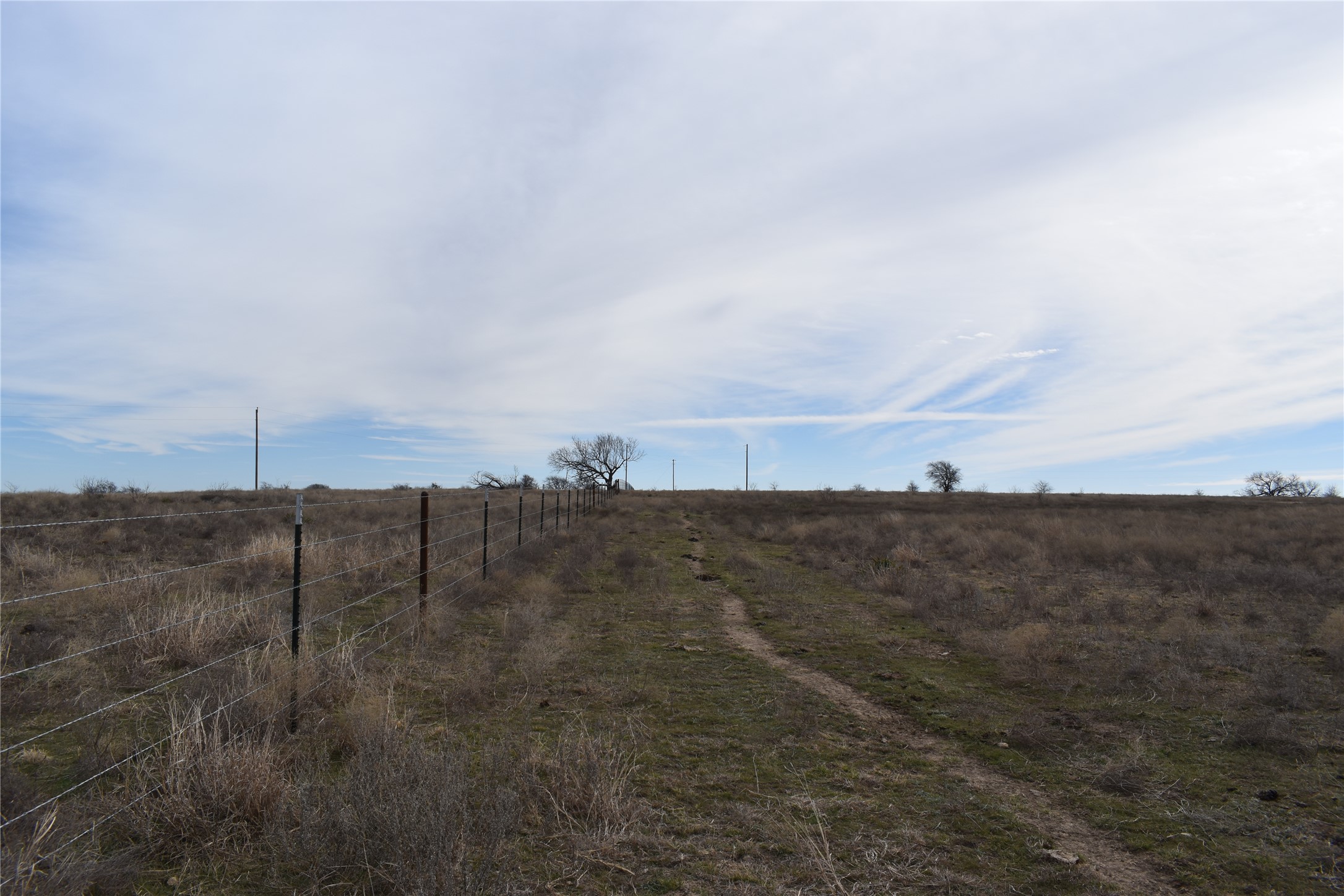 3619 North Fm 1702 Hamilton, TX 76531 - Photo 2 of 18 a view of a dry field with trees in background