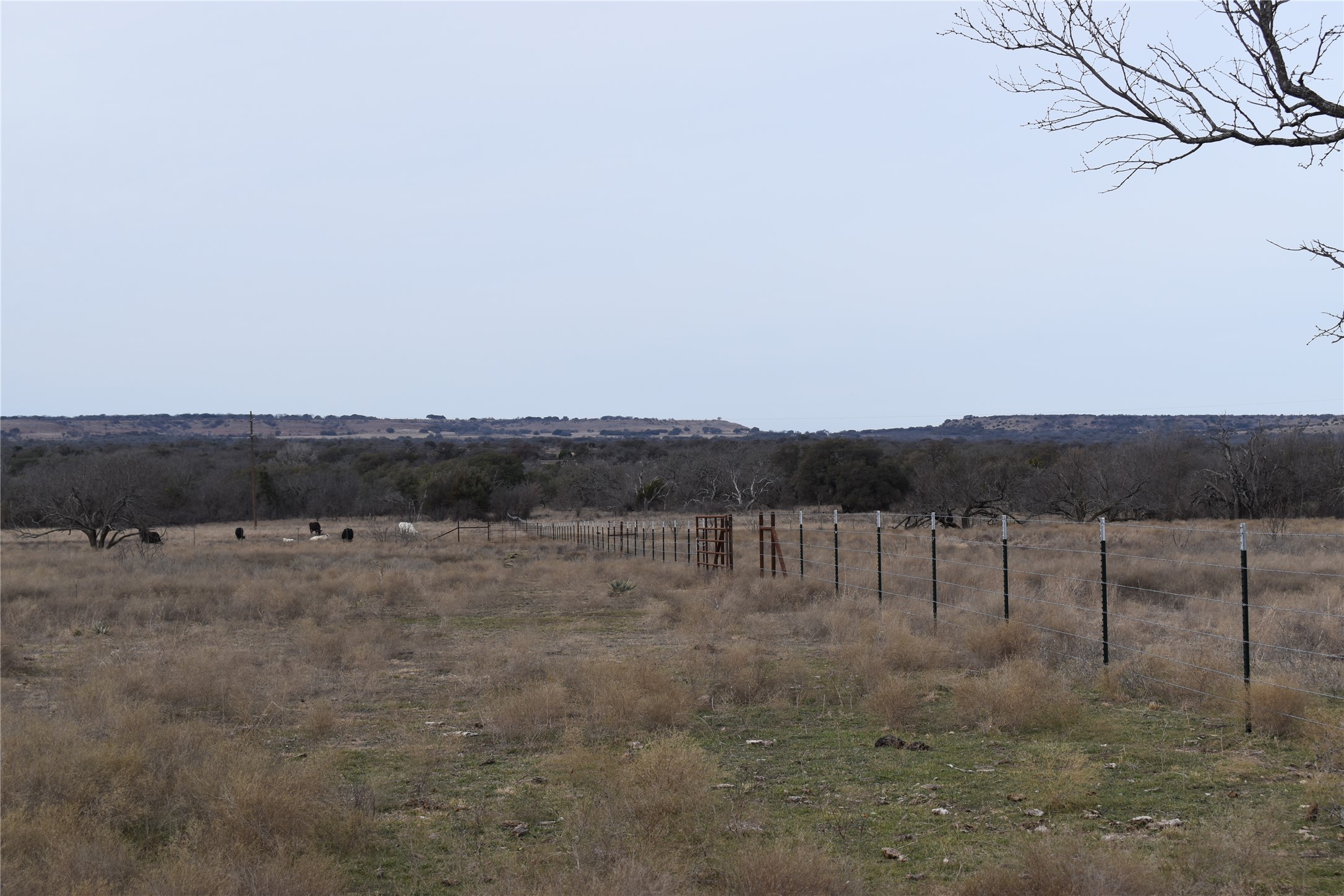 3619 North Fm 1702 Hamilton, TX 76531 - Photo 8 of 18 a view of lake with mountain