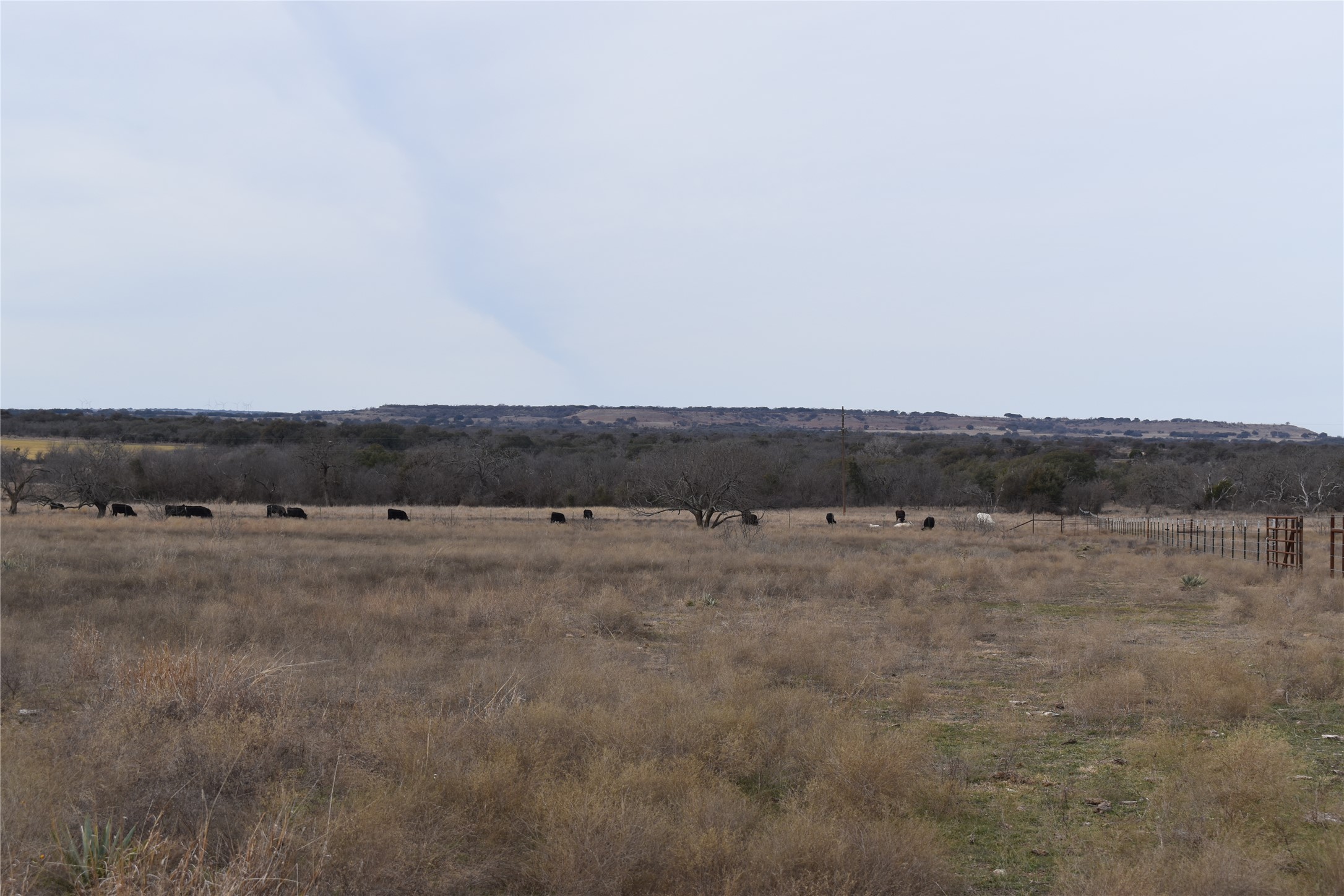 3619 North Fm 1702 Hamilton, TX 76531 - Photo 9 of 18 a view of dirt field and trees