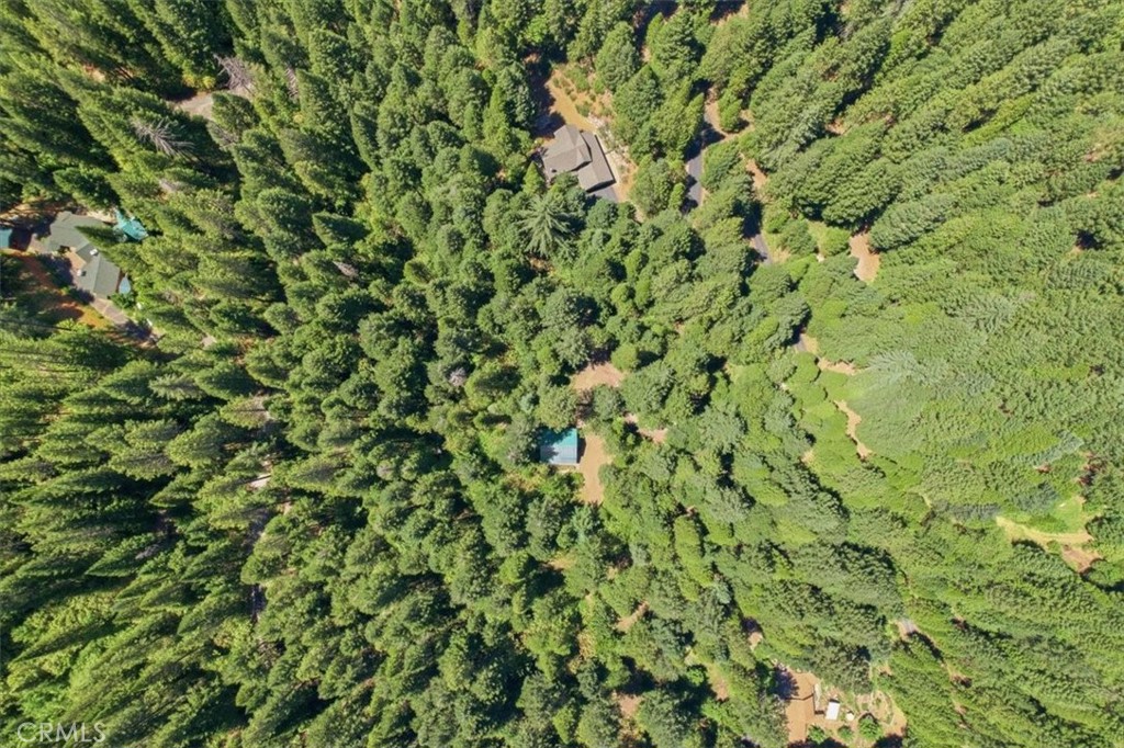 20929 Fall Crk Road Dunsmuir, CA 96025 - Photo 25 of 28
