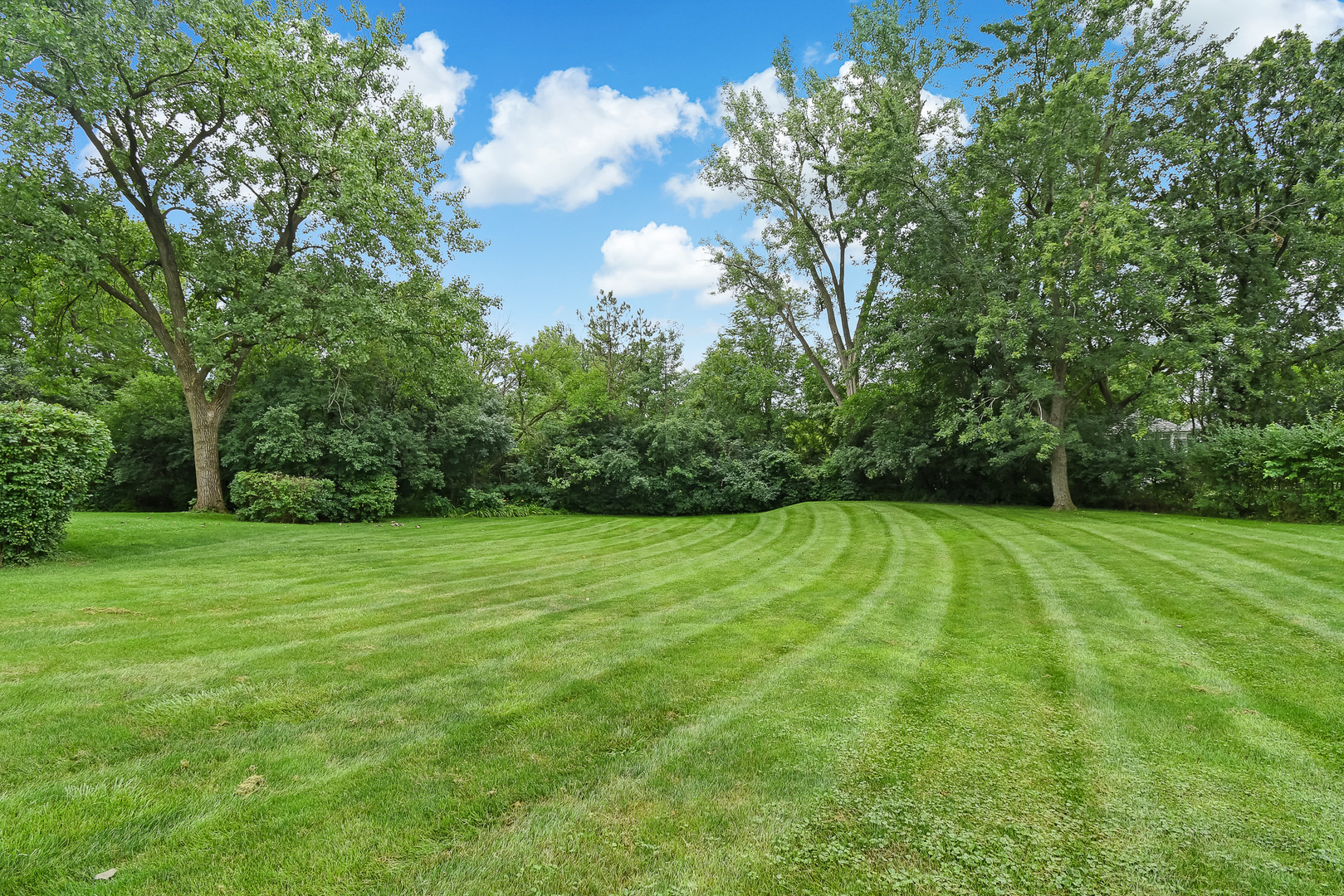 11317 74th Street Burr Ridge, IL 60527 - Photo 21 of 22