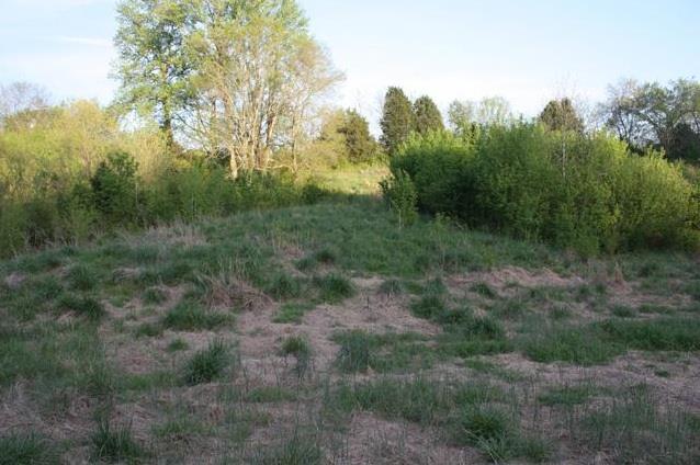 4261 Murfreesboro Road Franklin, TN 37067 - Photo 6 of 8