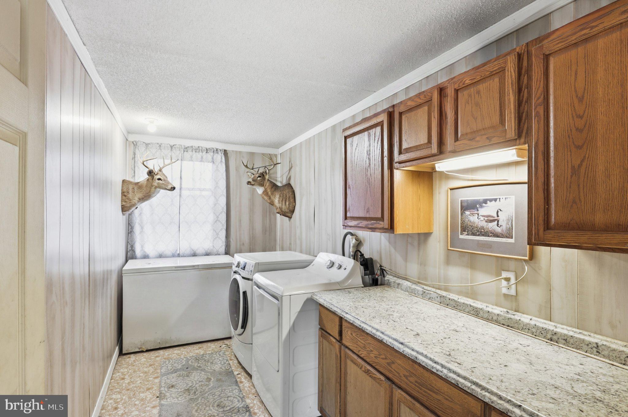 2547 Chance Road Clayton, DE 19938 - Photo 42 of 50 Charming laundry space with rustic decor.