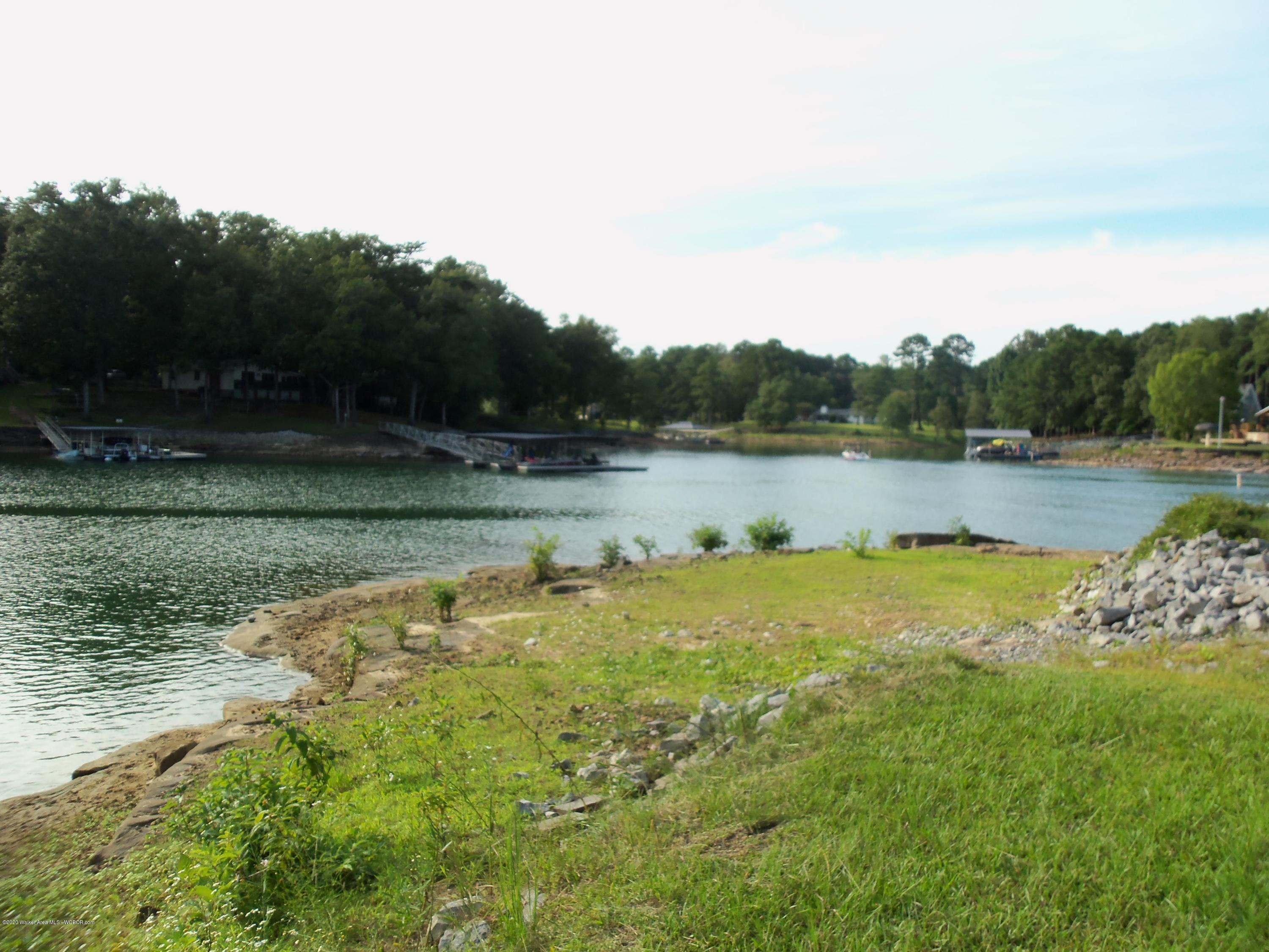 193 Battle Creek Road Jasper, AL 35503 - Photo 15 of 16 Gallery Image 15