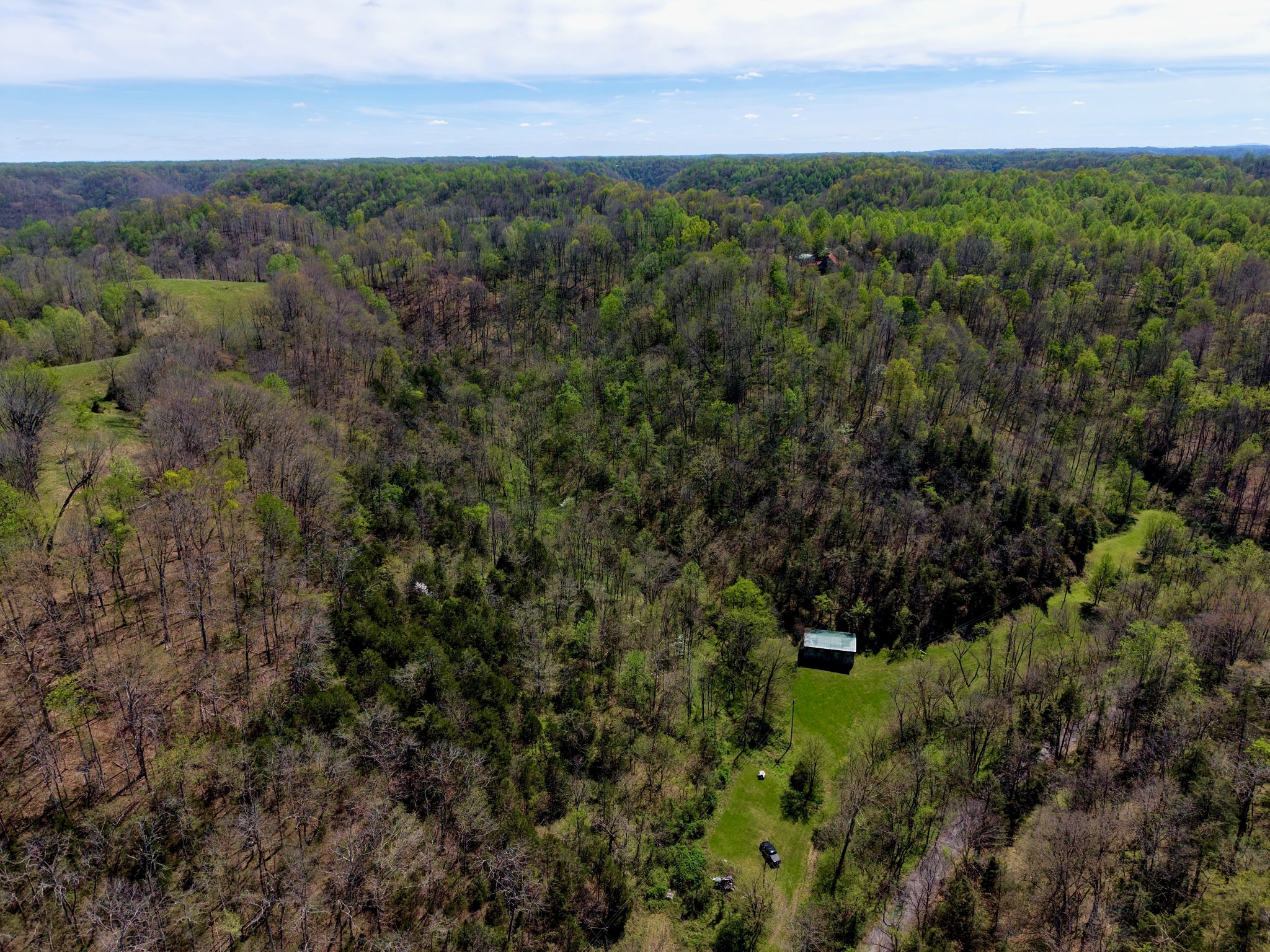 321 Peytons Creek Road Pleasant Shade, TN 37145 - Photo 5 of 7