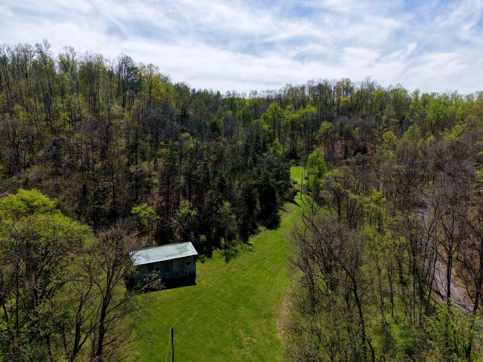 321 Peytons Creek Road Pleasant Shade, TN 37145 - Photo 6 of 7
