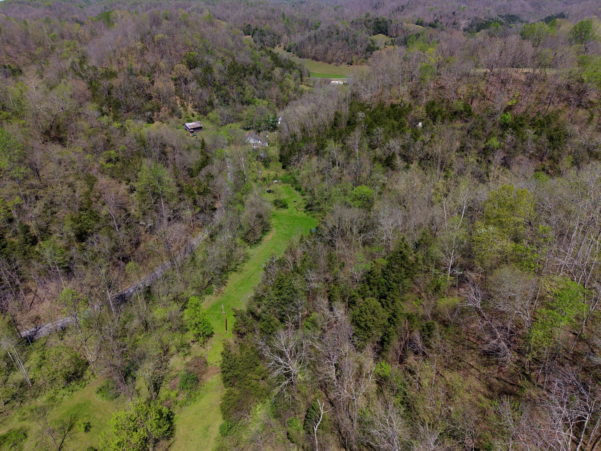 321 Peytons Creek Road Pleasant Shade, TN 37145 - Photo 7 of 7