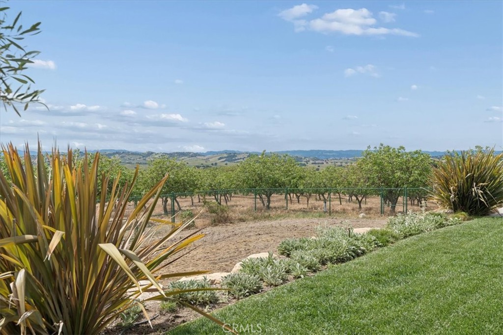 5565 High Ridge Road Paso Robles, CA 93446 - Photo 61 of 73 Gallery Image 61