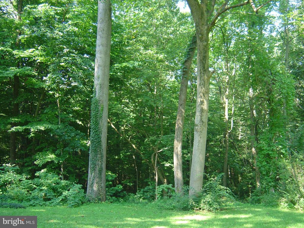 1290 Seglock Road Lititz, PA 17543 - Photo 8 of 8