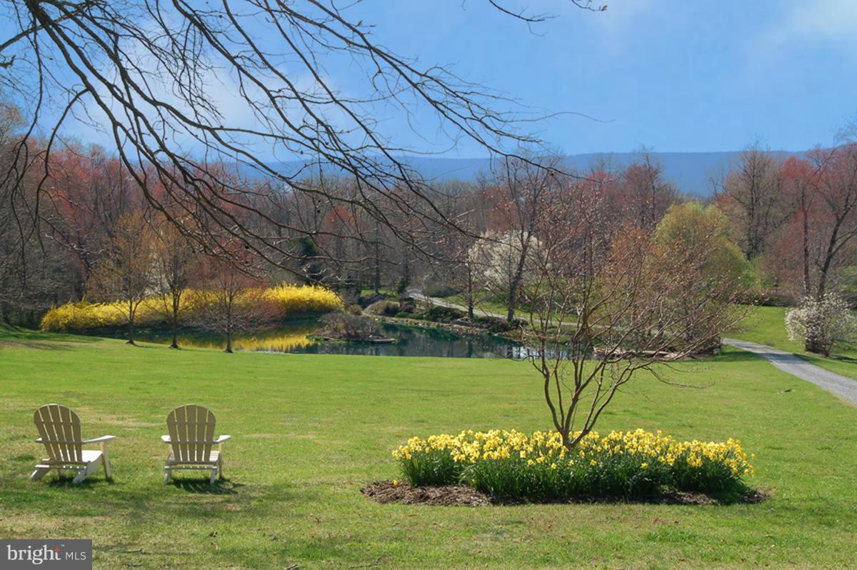 20150 Woodtrail Road Round Hill, VA 20141 - Photo 17 of 23 Exterior (General)