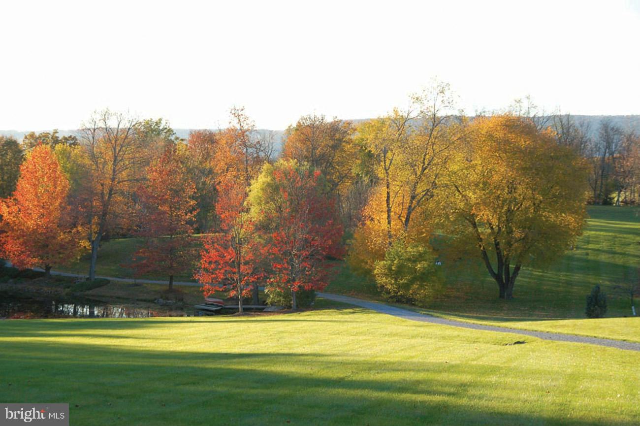 20150 Woodtrail Road Round Hill, VA 20141 - Photo 19 of 23 View
