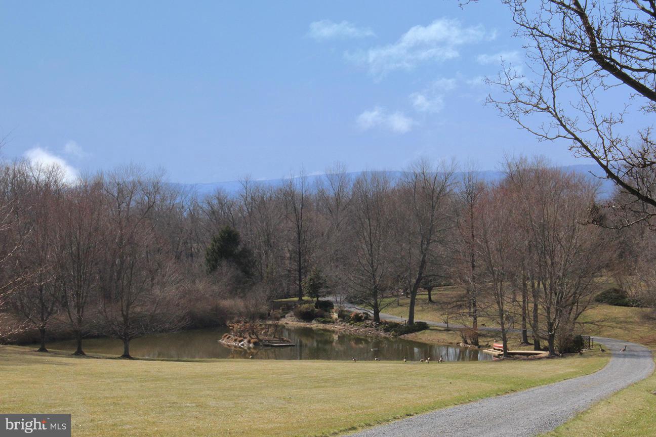 20150 Woodtrail Road Round Hill, VA 20141 - Photo 22 of 23 Exterior (General)
