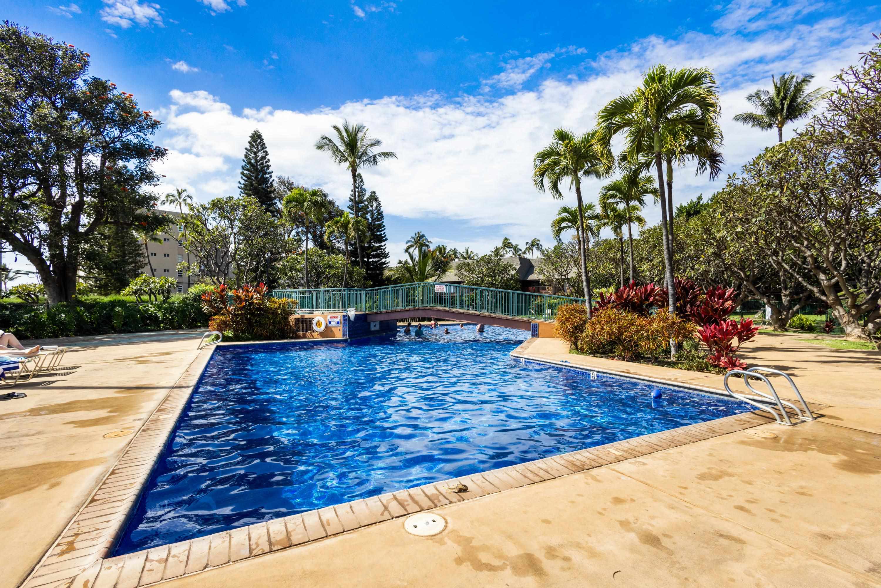 811 South Kihei Road, Unit 2F Kihei, HI 96753 - Photo 9 of 50