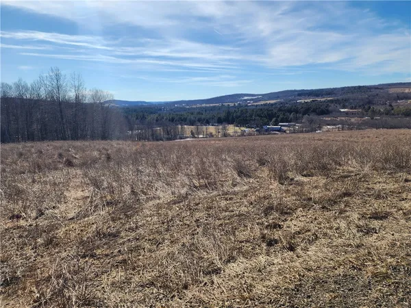 $52,000 | Bolton Road, Burlington Flats, NY 13315