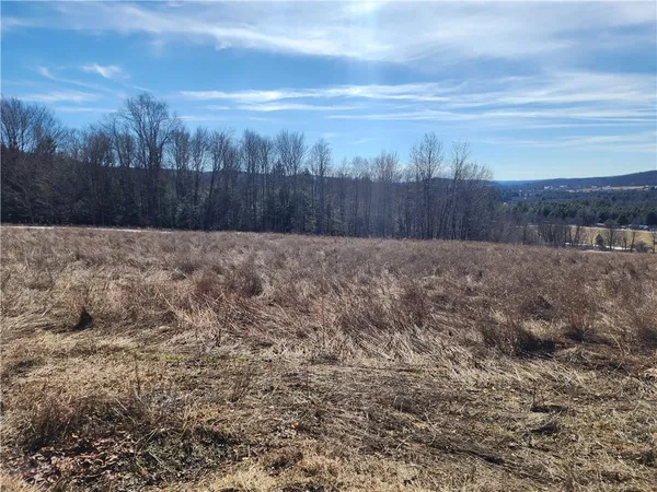 $52,000 | Bolton Road, Burlington Flats, NY 13315