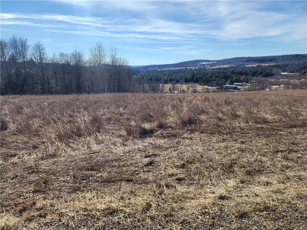 $52,000 | Bolton Road, Burlington Flats, NY 13315