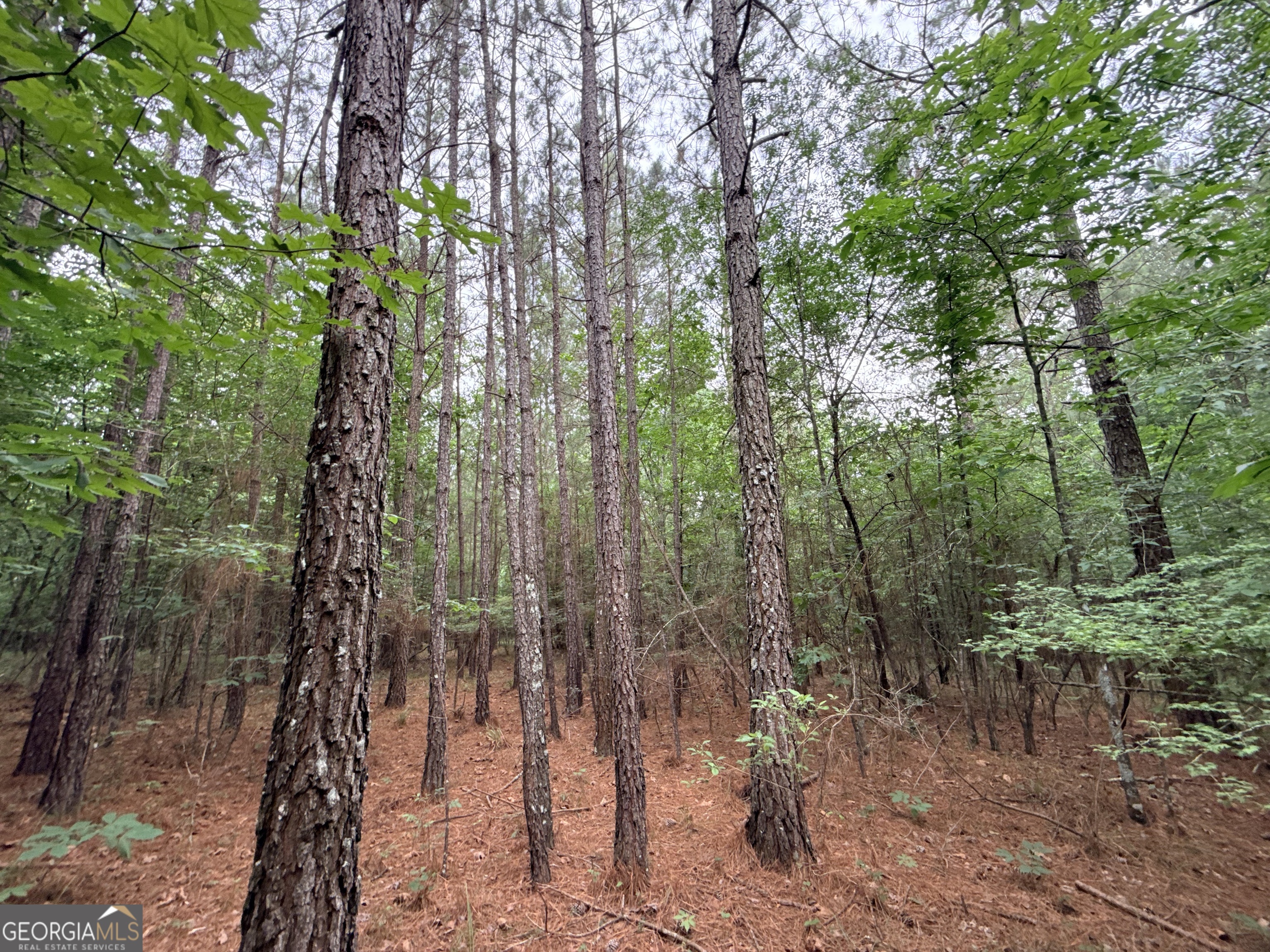 2 Bethesda Church Road Lexington, GA 30648 - Photo 13 of 66