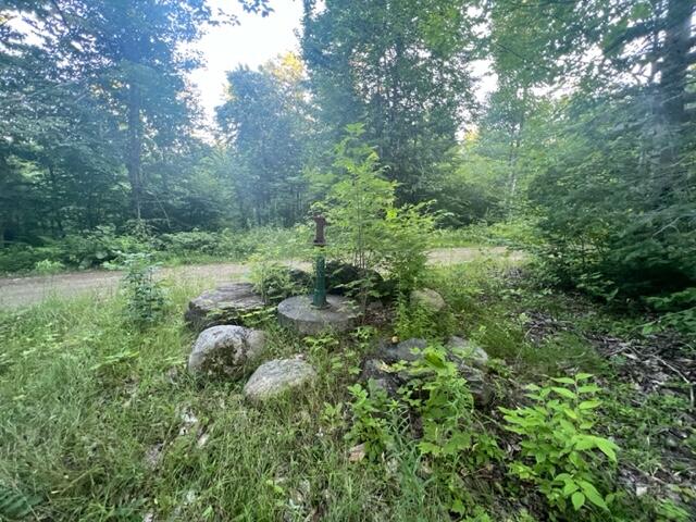 16 Emily Drive Amity, ME 04471 - Photo 13 of 26 IMG_5282