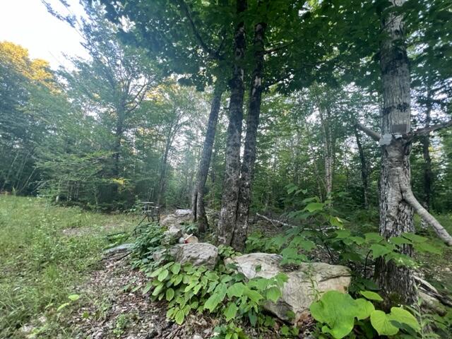 16 Emily Drive Amity, ME 04471 - Photo 14 of 26 IMG_5288