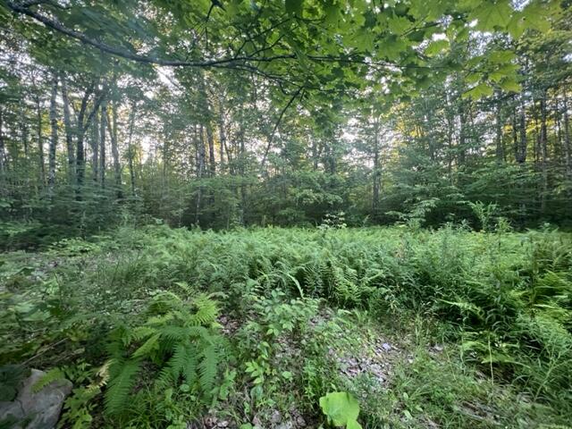 16 Emily Drive Amity, ME 04471 - Photo 15 of 26 IMG_5294