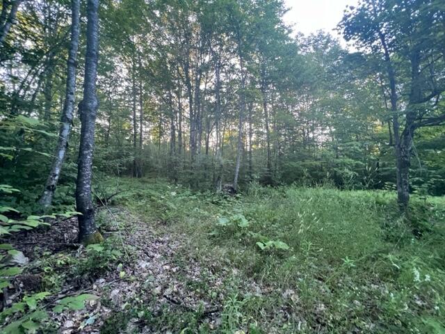 16 Emily Drive Amity, ME 04471 - Photo 16 of 26 IMG_5279