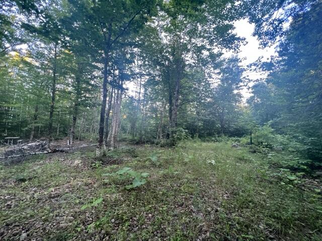 16 Emily Drive Amity, ME 04471 - Photo 17 of 26 IMG_5281