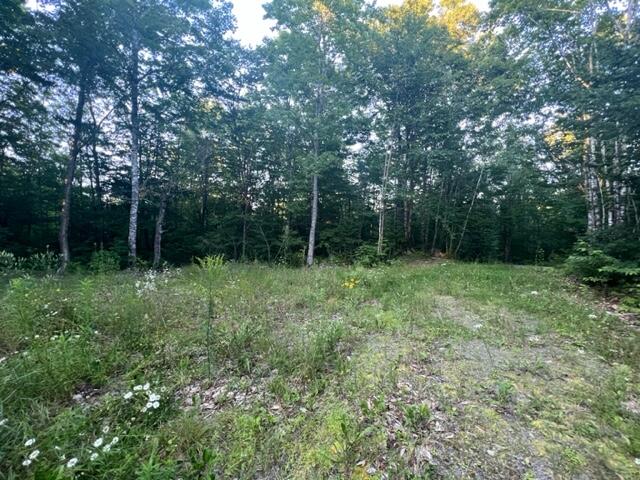 16 Emily Drive Amity, ME 04471 - Photo 18 of 26 IMG_5289