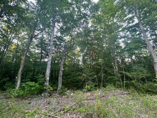 16 Emily Drive Amity, ME 04471 - Photo 19 of 26 IMG_5291